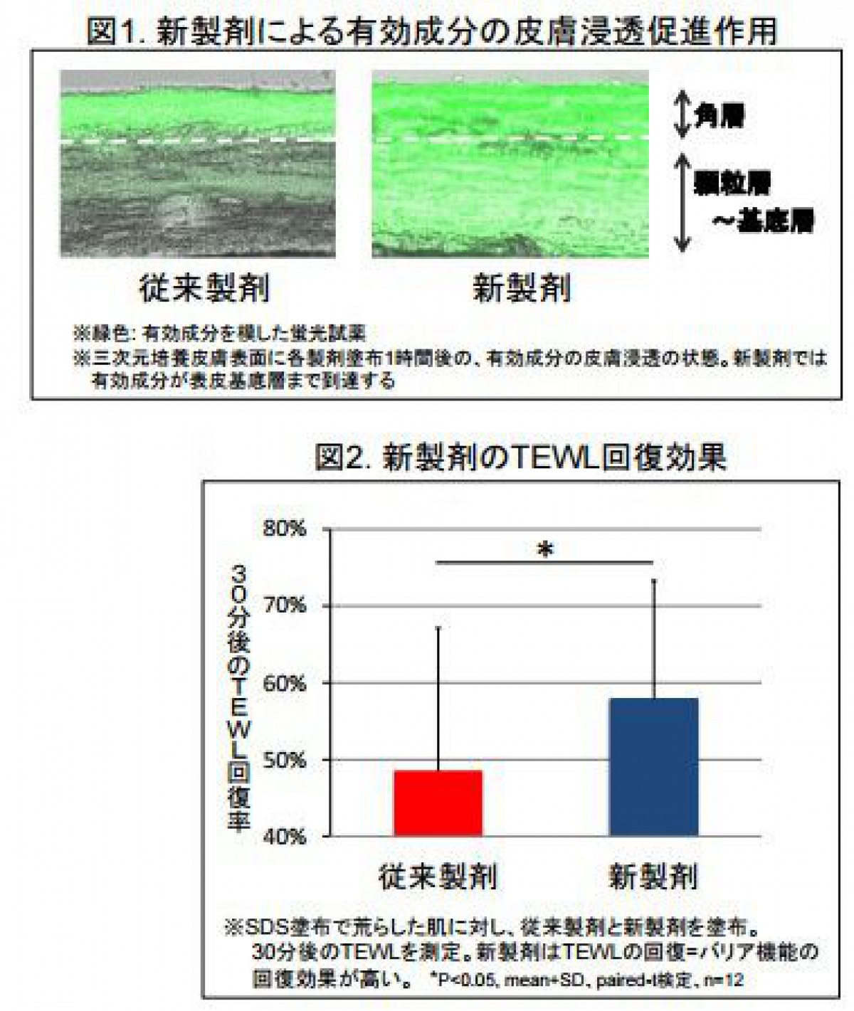 角層バリア構造の性質を変え有効成分を肌内部まで浸透させる新製剤を開発/ポーラ化成工業