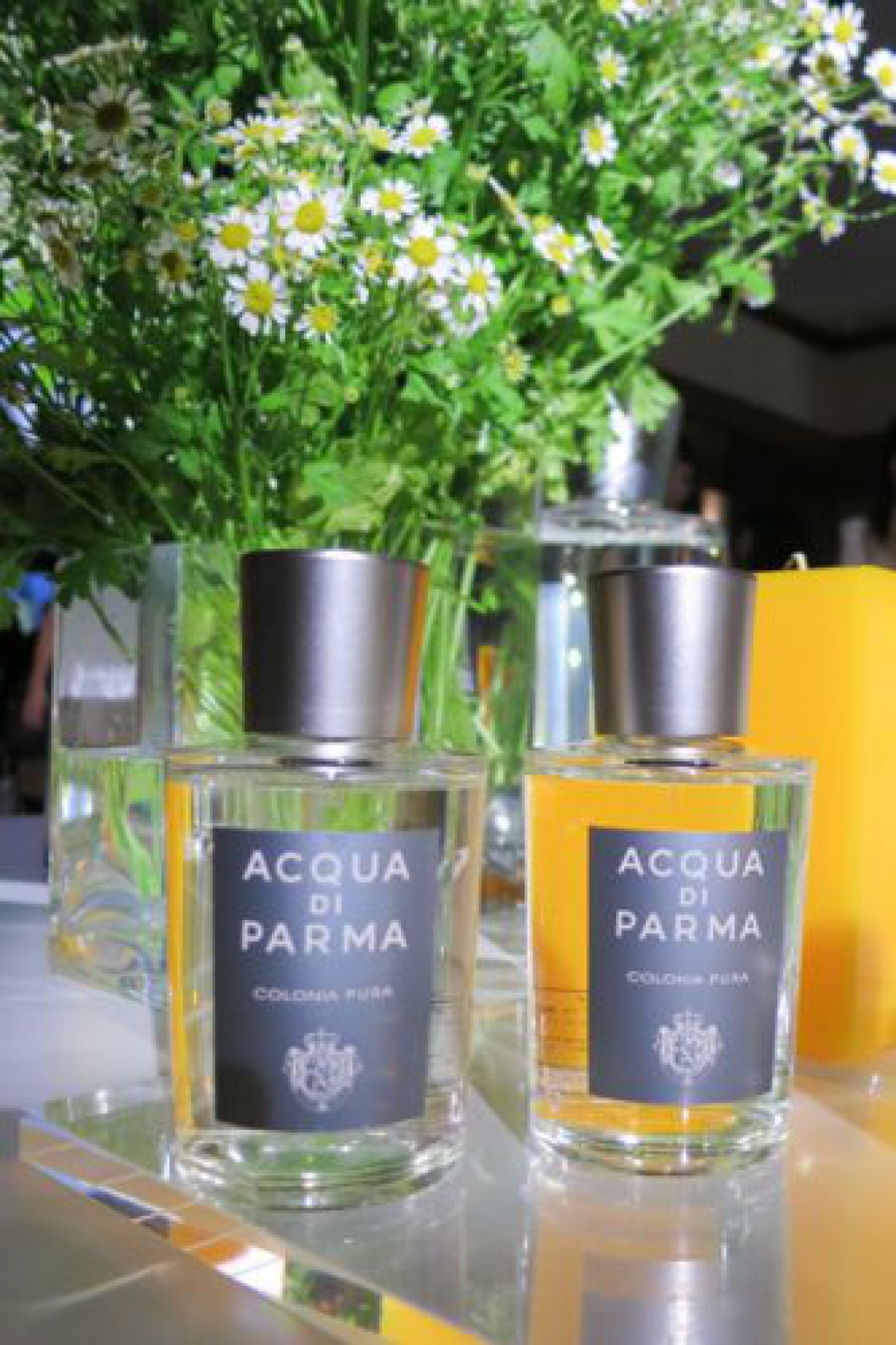 LVMH傘下の香水「アクア ディ パルマ」川辺と契約で国内展開を拡大