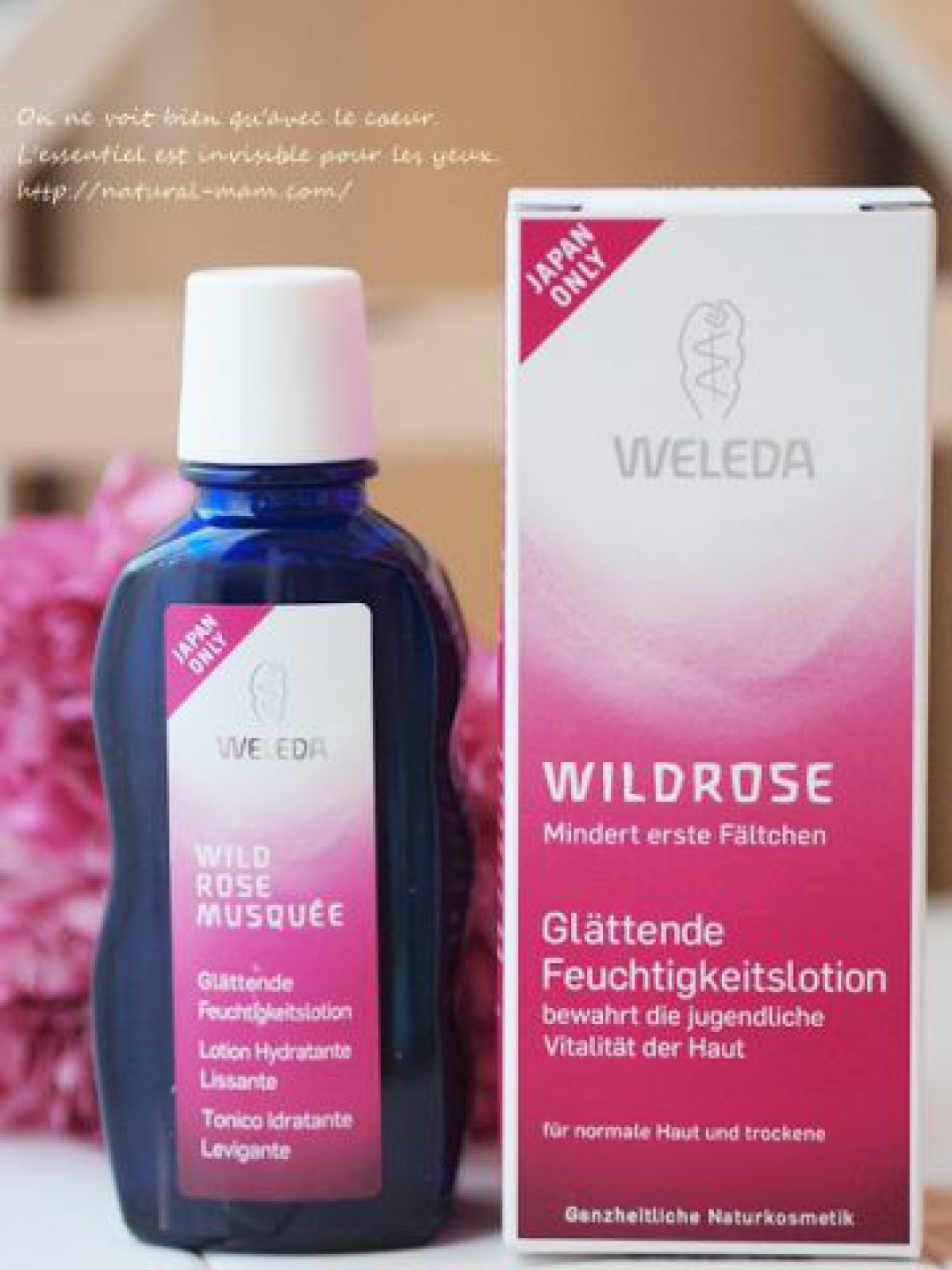 WELEDA（ヴェレダ）のワイルドローズ化粧水は日本人のために開発された化粧水！