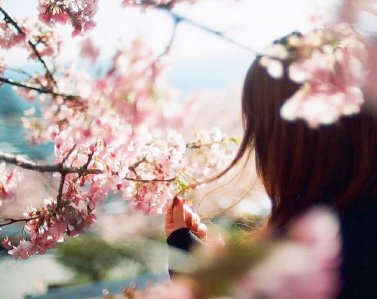 春を先取り、桜をひとひら。女っぽさ舞うシアーピンクのモテネイル特集