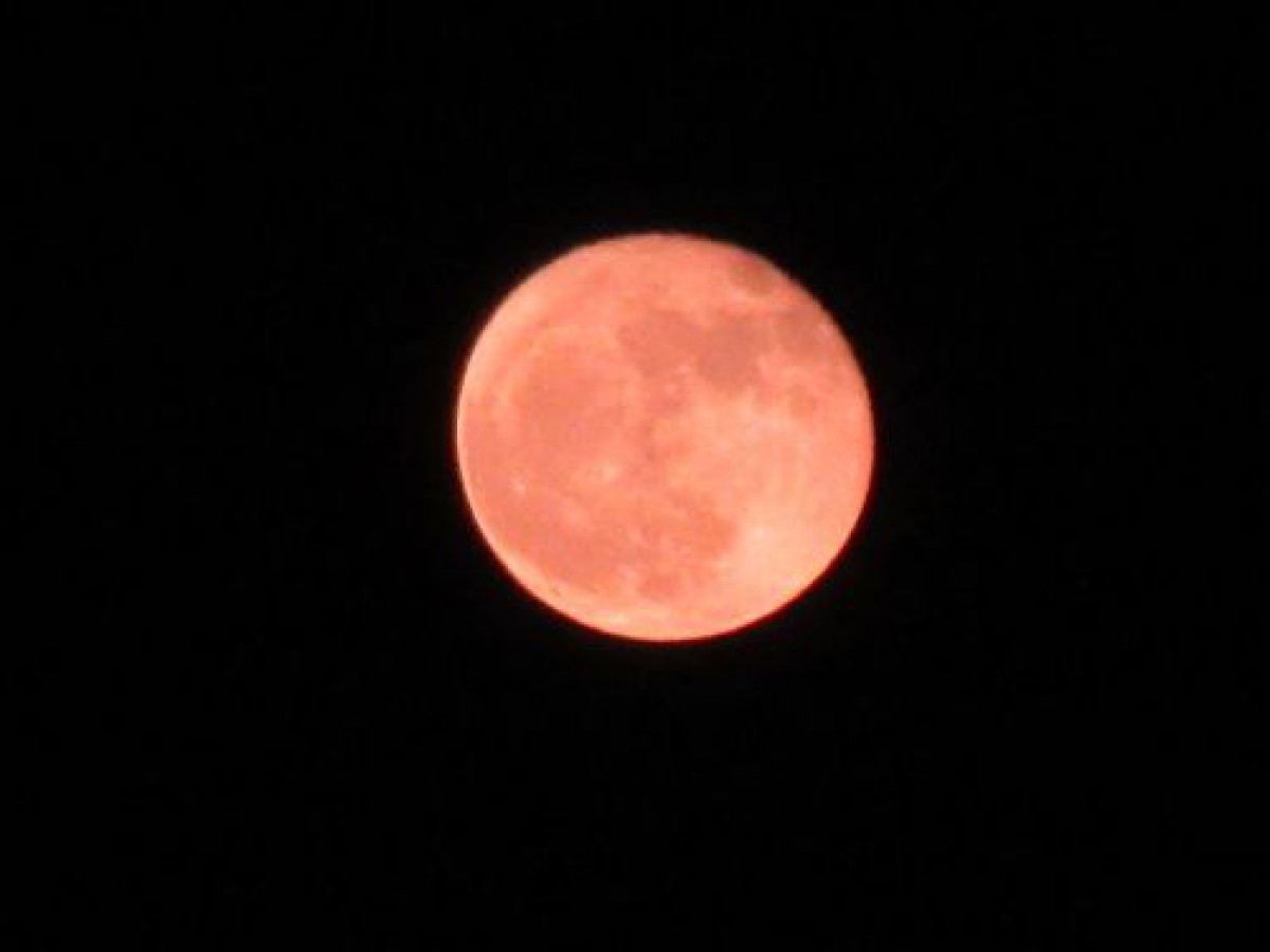 「月が綺麗ですね。」moonの名が刻まれたLOVE ADDICTIONコスメ集