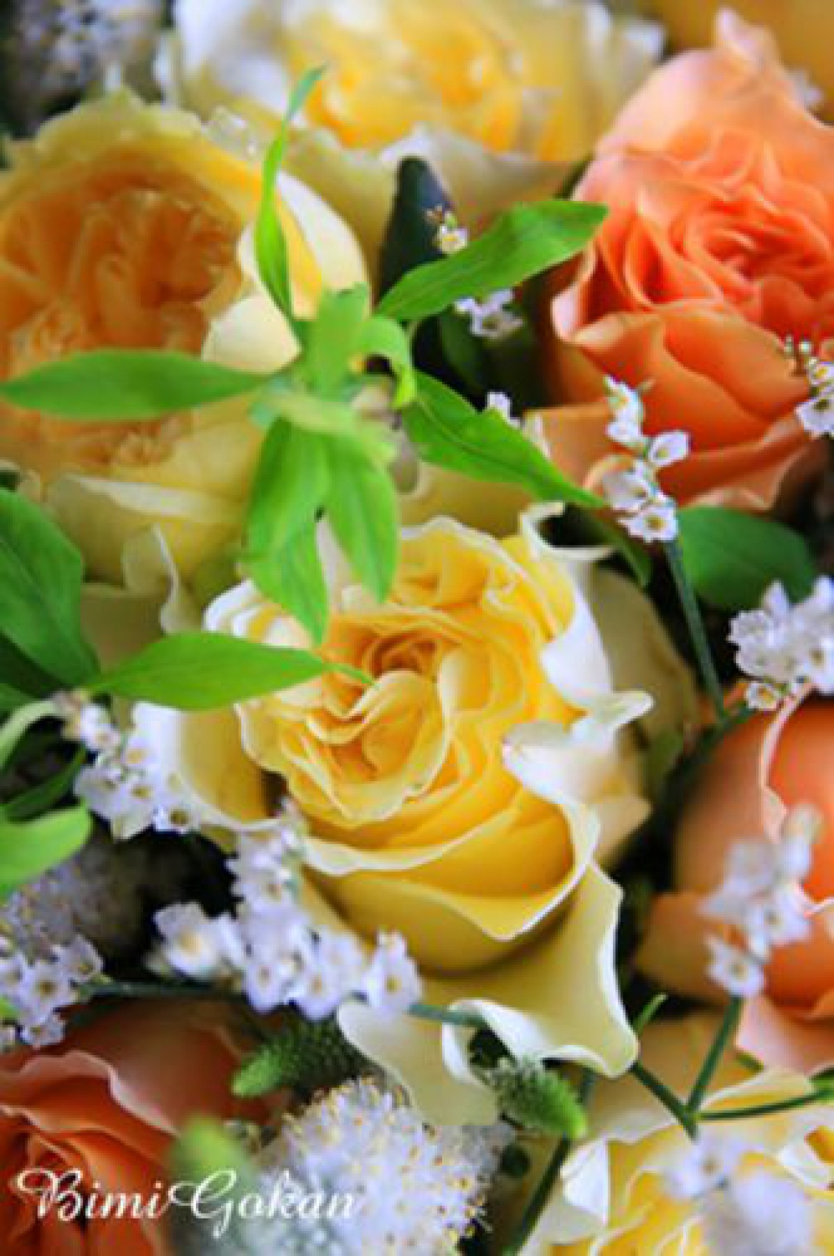 “のもの“の薔薇はプチプラ^^v