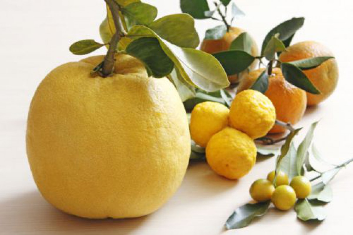 柑橘系の香りに癒される♪女子大絶賛の「ボディケアアイテム」
