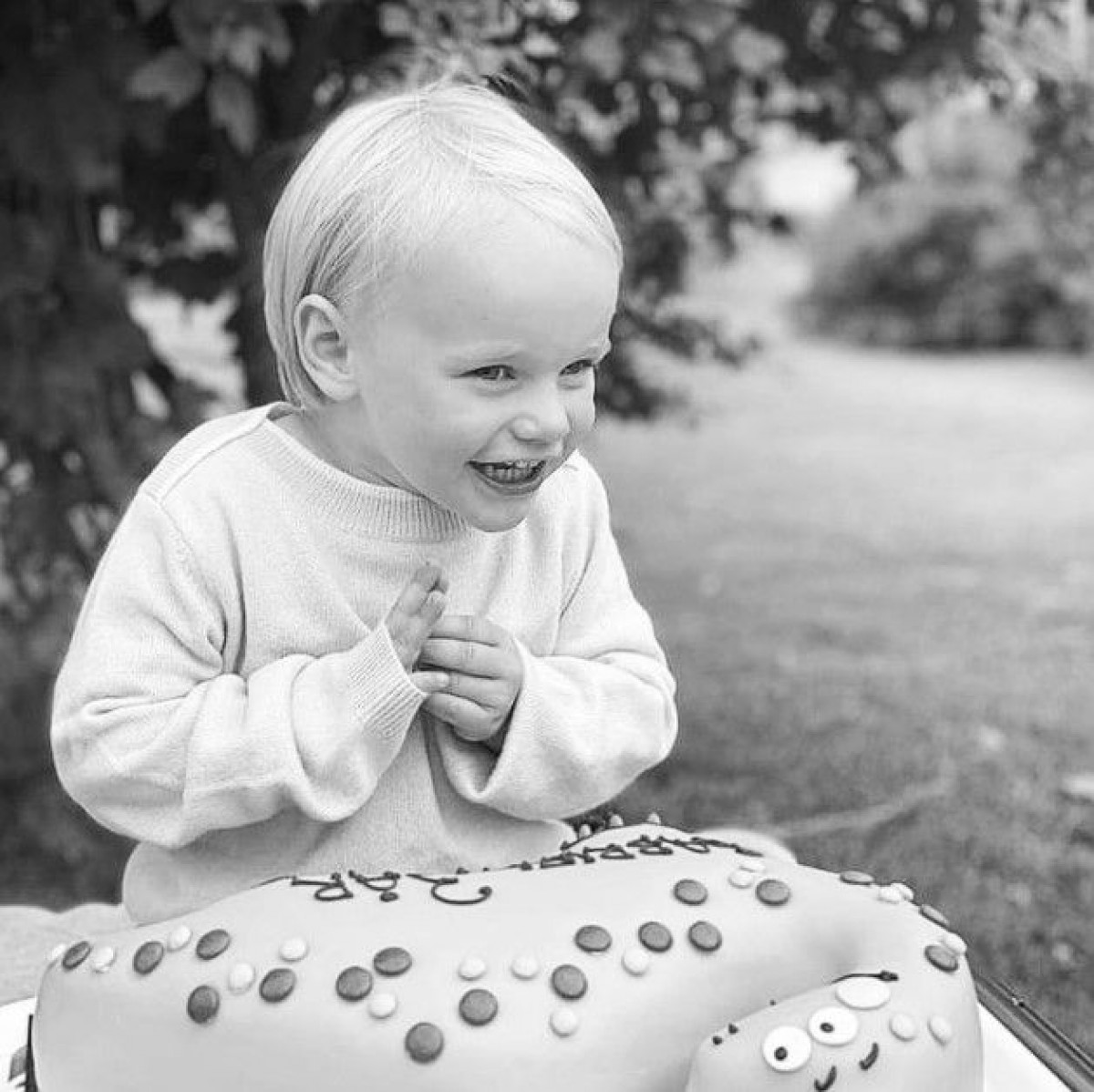 スウェーデンのガブリエル王子が3歳に！　カール・フィリップ王子とソフィア妃がポートレートを発表（ELLE ONLINE）