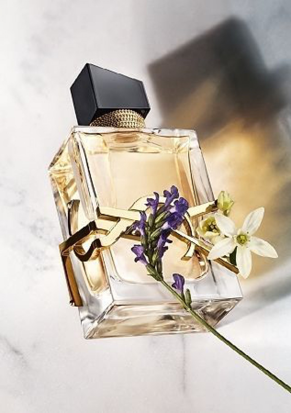 イヴ・サンローランの人気の香水8つ。モン パリ＆リブレetc…モテitemを集結
