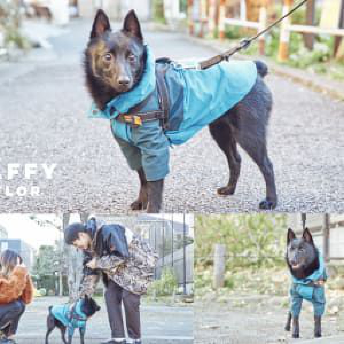 飼い主の服を愛犬用にリメイクする新サービス「FLAFFY TAYLOR」、ビューティフルピープル出身者が立ち上げ