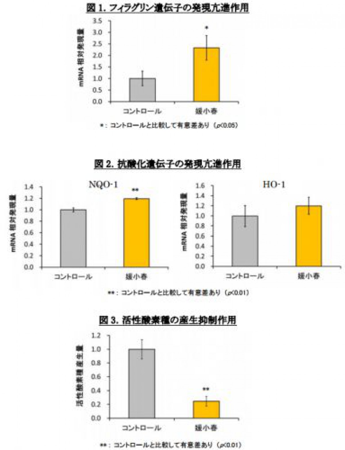 柑橘『媛小春』が肌の保湿関与成分の産生を促進する可能性について発表/東洋新薬